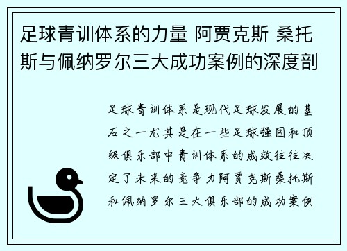 足球青训体系的力量 阿贾克斯 桑托斯与佩纳罗尔三大成功案例的深度剖析